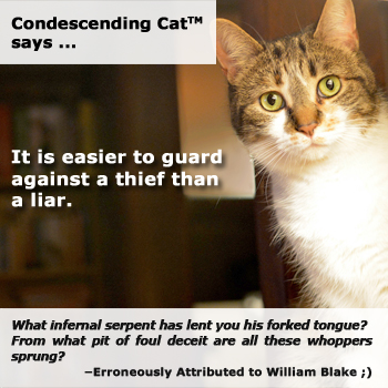 Condescending Cat Seeks Truth